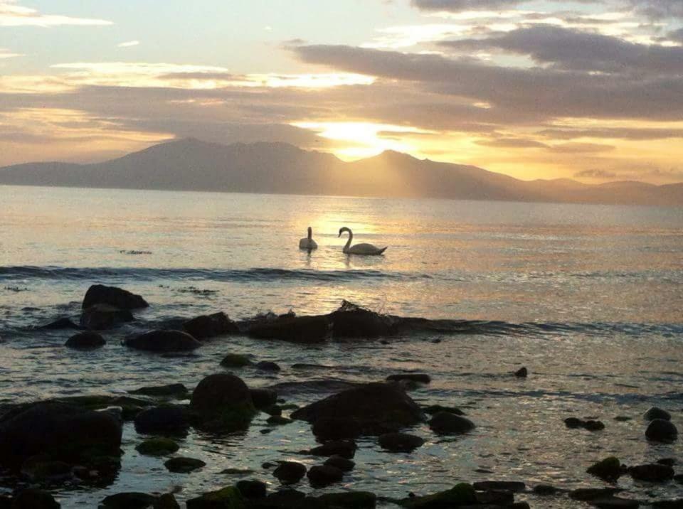 Apartmán Tarbert West Kilbride Exteriér fotografie